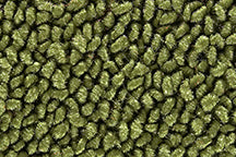 Custom Interior Loop Carpet Kit | 1967-72 Chevy C-10