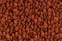 Custom Interior Loop Carpet Kit | 1967-72 Chevy C-10